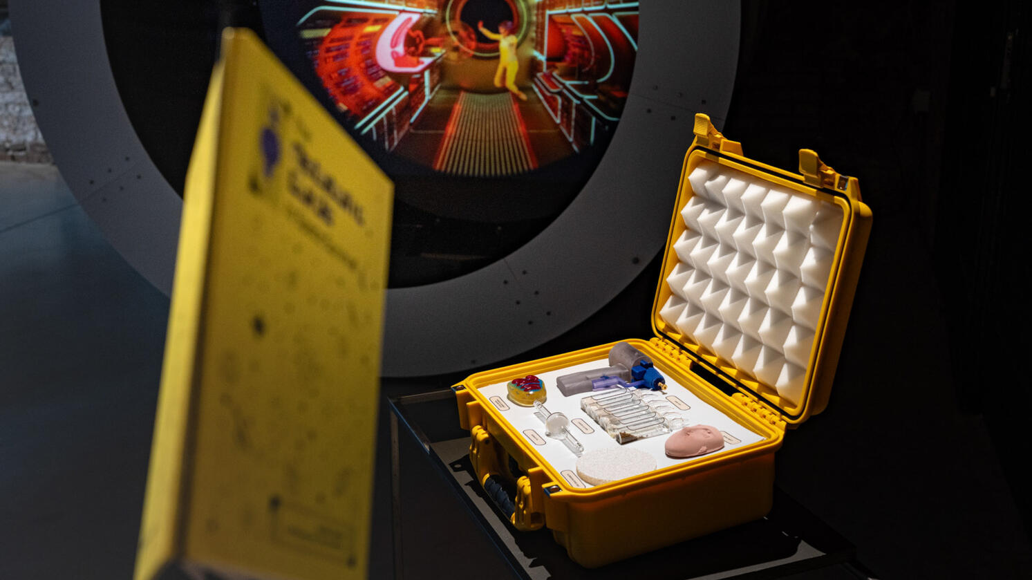 Exhibition view of The Metabolic Guide to Space Survival, The Universe Pavilion, Venice Architecture Biennale, 2025.